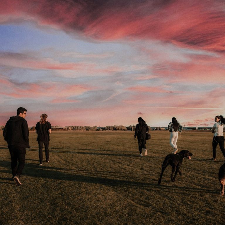 ADHS Therapie für Jugendliche Gruppe von Personen mit Hunden unter einem bunten Himmel beim Spaziergang im Freien.
